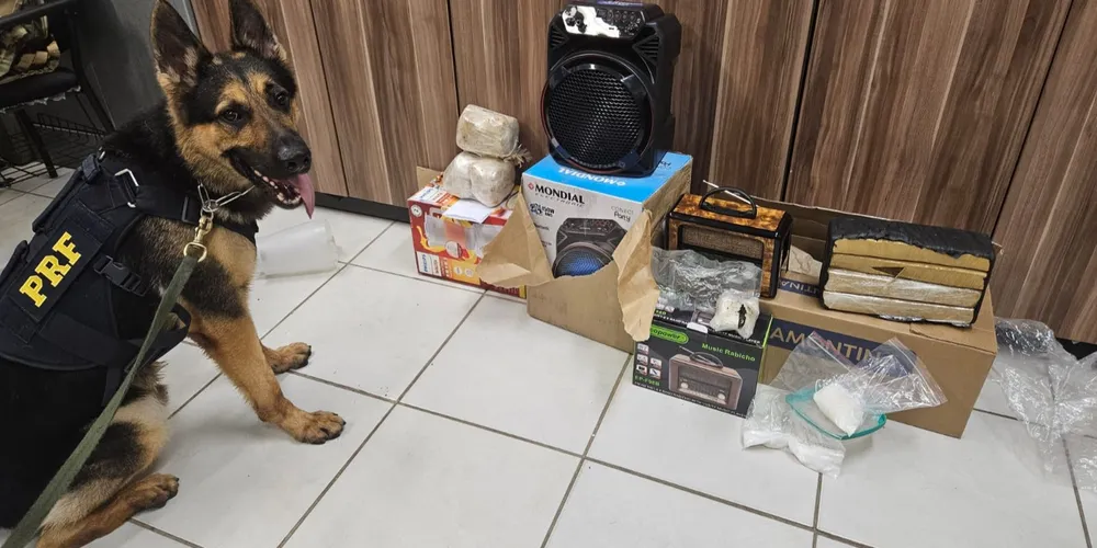 Ocorrência foi encaminhada para a Polícia Civil