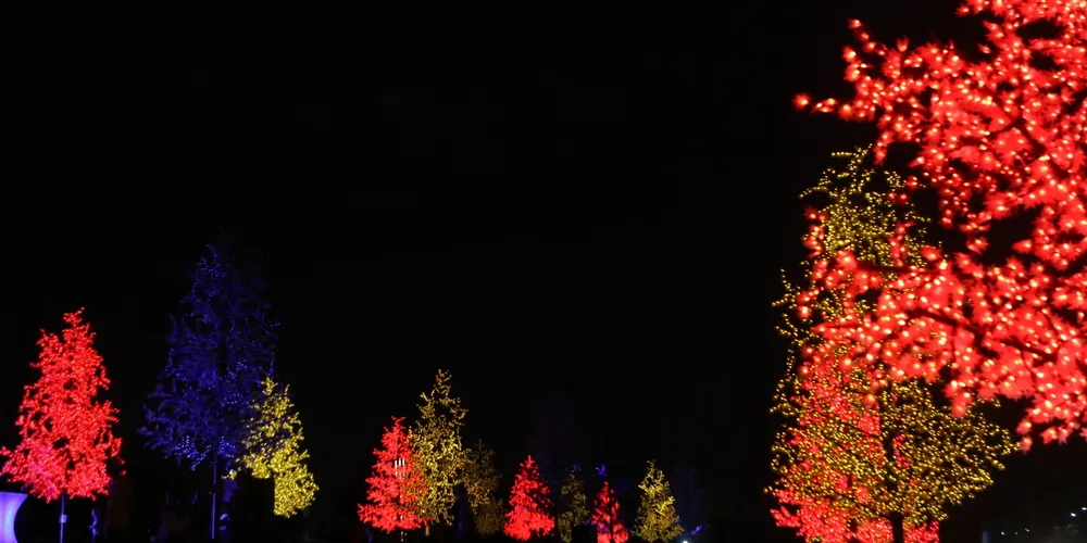 Atrações acontecerão no Parque Linear, na região de Oficinas