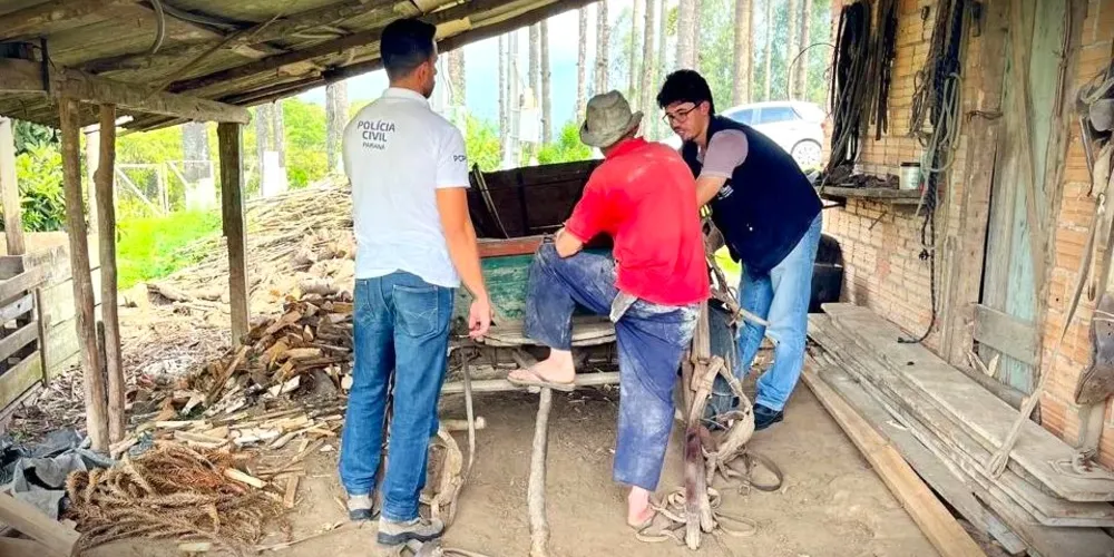 Denúncias levaram as autoridades até o suspeito dos maus-tratos