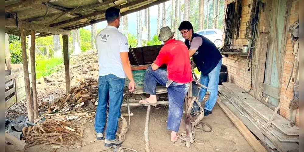 Denúncias levaram as autoridades até o suspeito dos maus-tratos