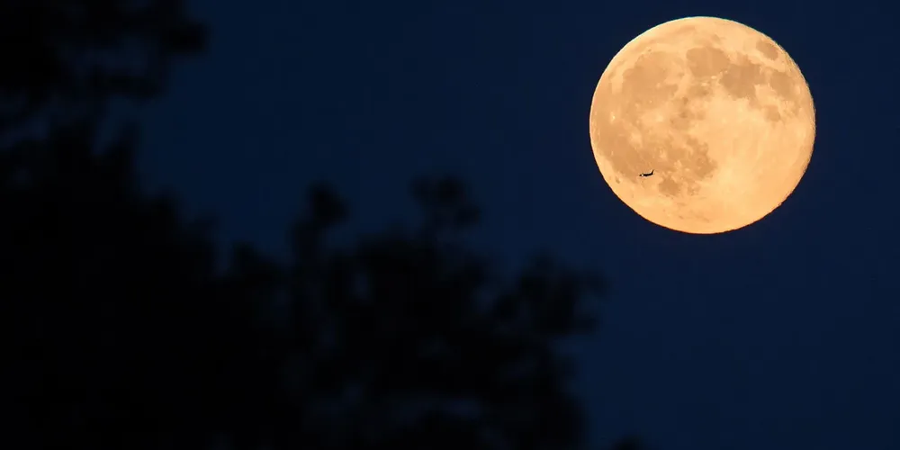 Lua cheia de novembro também é conhecida como Lua do Castor