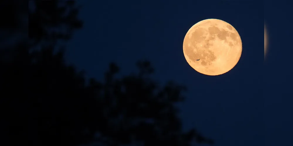 Lua cheia de novembro também é conhecida como Lua do Castor