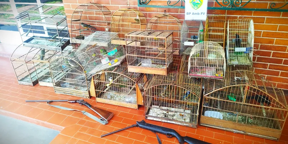 Animais e armas foram apreendidos pelos policiais ambientais