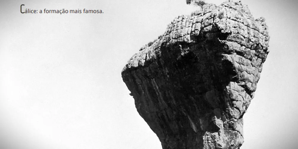 Taça de Vila Velha foi registrada pelo austríaco