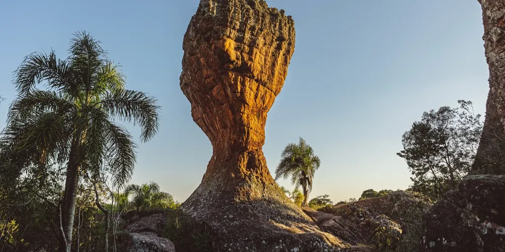 Prazo se estende até 15 de dezembro
