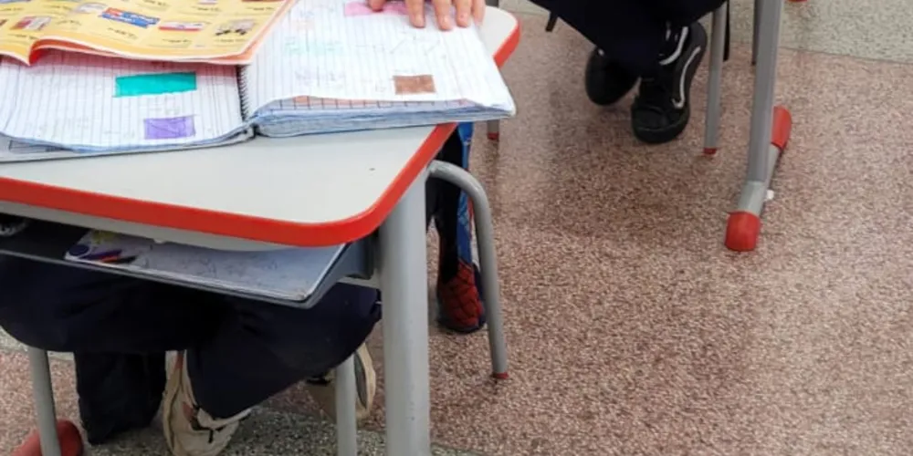 As atividades envolveram estudos com textos informativos, cédulas descartáveis e um tabloide de preços