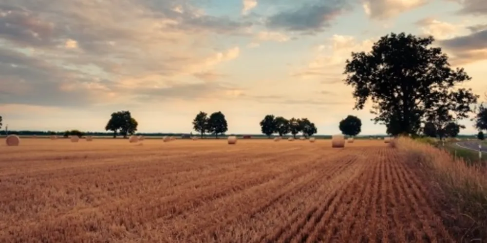 As mudanças climáticas, cada vez mais preocupantes, acendem o alerta sobre seus impactos em diversos setores, especialmente na agricultura.