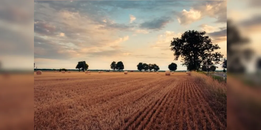 As mudanças climáticas, cada vez mais preocupantes, acendem o alerta sobre seus impactos em diversos setores, especialmente na agricultura.