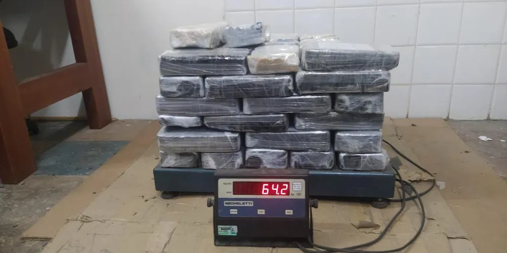 O destaque dessa operação vai além da quantidade apreendida