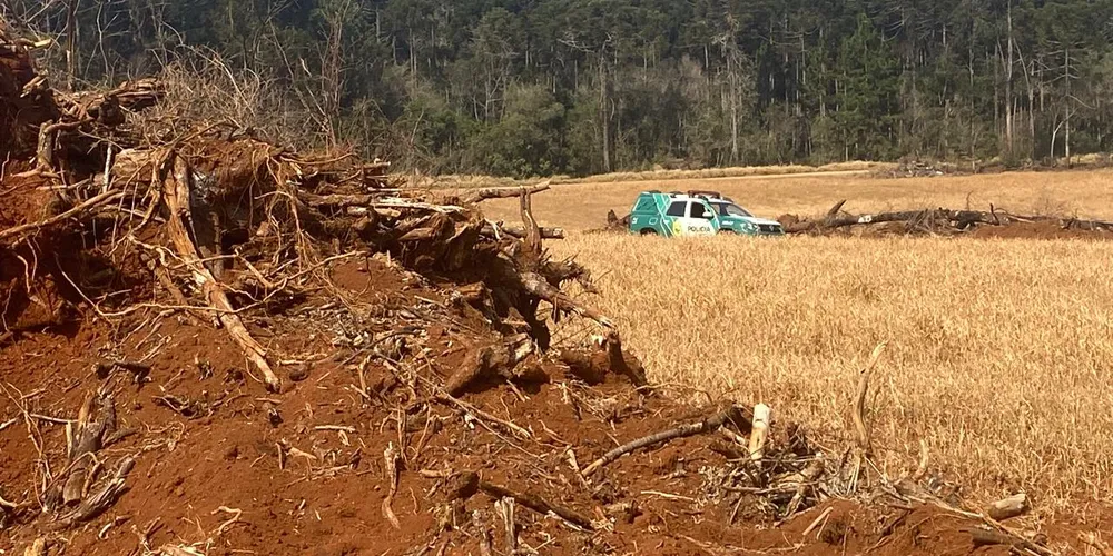 A área danificada foi embargada