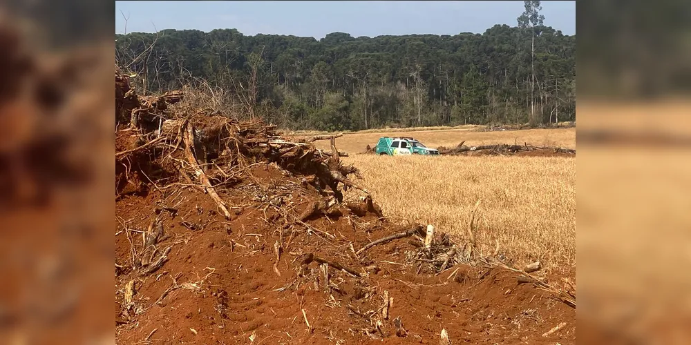 A área danificada foi embargada