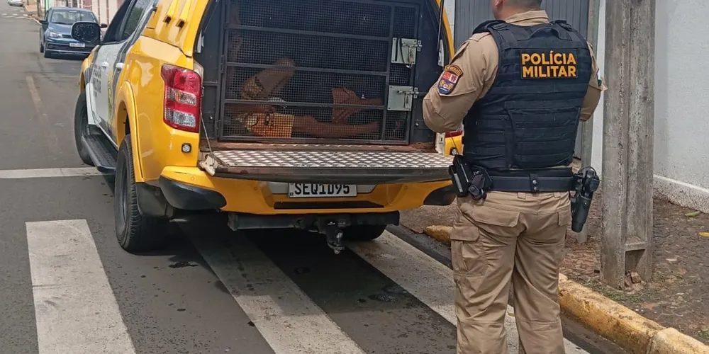 Dupla foi detida pela polícia na tarde desta quarta-feira