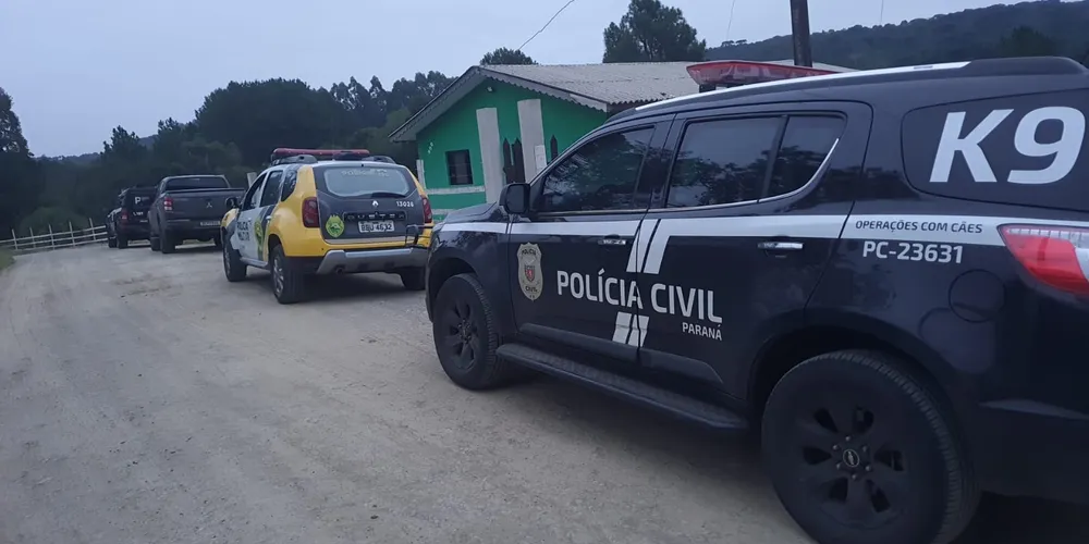 O apenado foi entregue ao Departamento de Polícia Penal