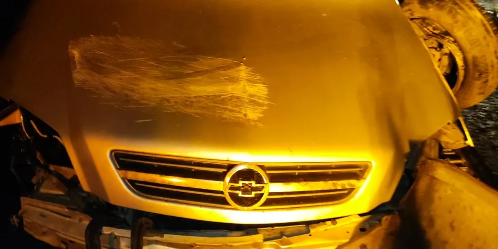 Condutor ficou levemente ferido