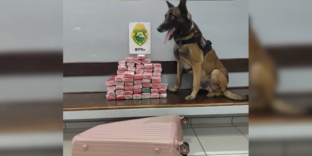 A ação contou com a equipe de Operações com Cães