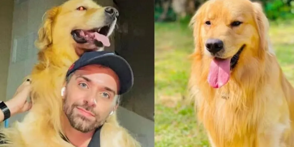 Joca com o seu tutor, João Fantazzini