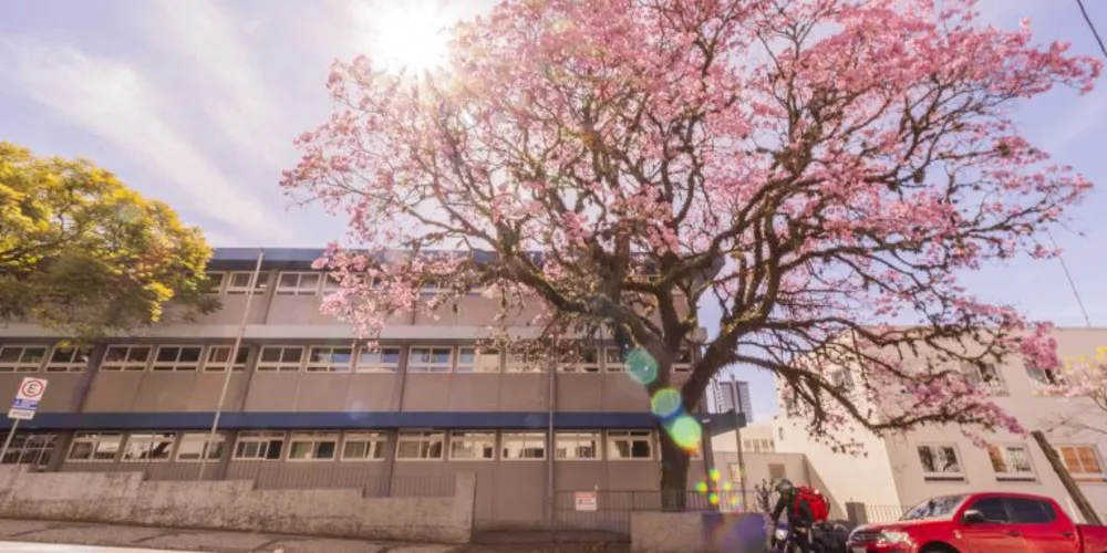 Imagem ilustrativa da imagem Pedagogia da UEPG recebe nota máxima em Guia da Faculdade