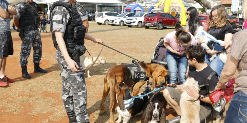 oda a ração arrecadada será destinada à SOS Bichos