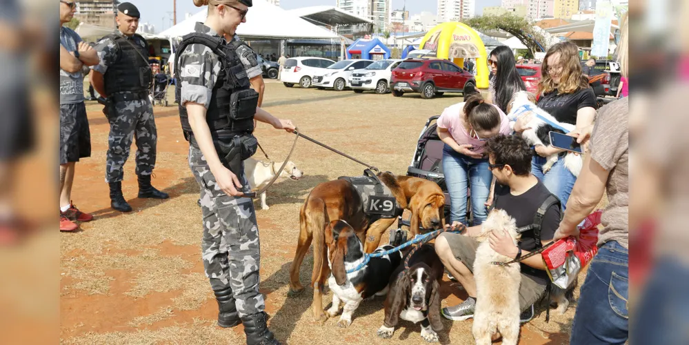 oda a ração arrecadada será destinada à SOS Bichos