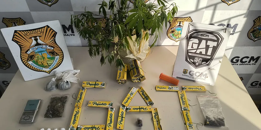 Equipe apreendeu drogas, pé de maconha e aparelhos celulares