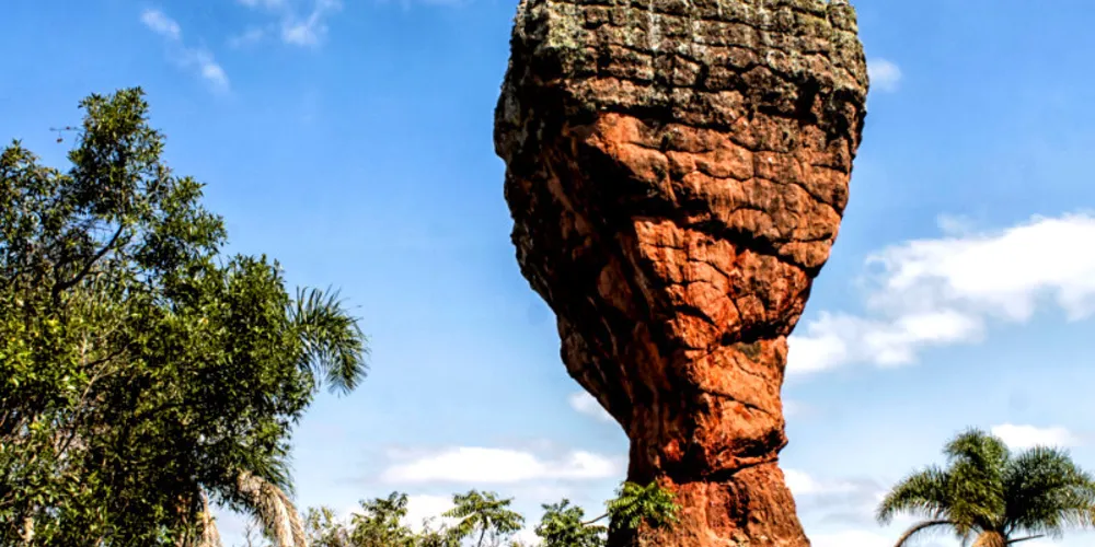 São 30 vagas para visita ao Parque, com três datas agendadas para 2024