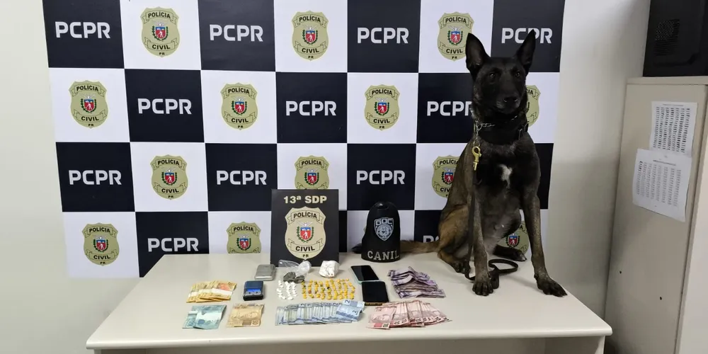 Foram apreendidas drogas do tipo crack, cocaína e maconha, localizadas pelo cão farejador Bolt do Grupo de Operações com Cães da GCM