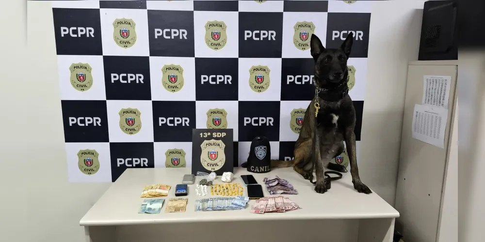 Foram apreendidas drogas do tipo crack, cocaína e maconha, localizadas pelo cão farejador Bolt do Grupo de Operações com Cães da GCM