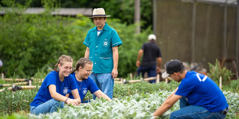São mais de 60 cursos disponíveis nos CEEPs e colégios agrícolas