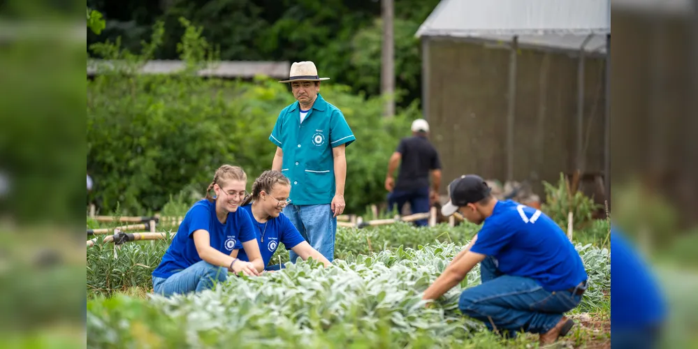 São mais de 60 cursos disponíveis nos CEEPs e colégios agrícolas