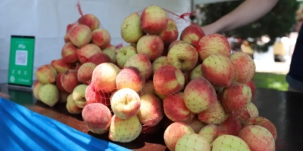 A cidade registrou uma queda de 70% em relação ao volume esperado