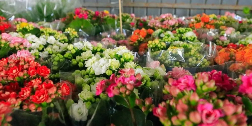 A feira contará com comerciantes locais oferecendo uma variedade de produtos