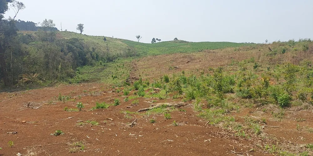 Danos ambientais foram constatados na Serra da Esperança em Guarapuava