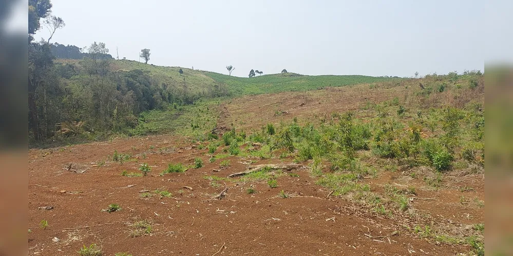 Danos ambientais foram constatados na Serra da Esperança em Guarapuava