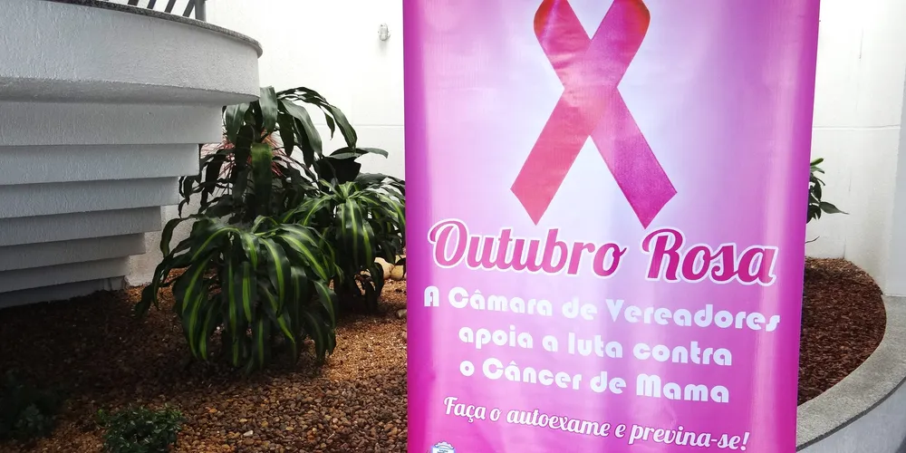 Vereadores reforçam importância da prevenção e conscientização durante sessão legislativa