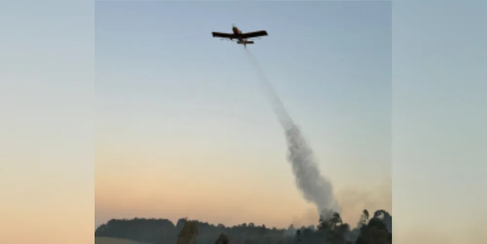 O vento forte e a mata densa dificultaram o trabalho dos bombeiros