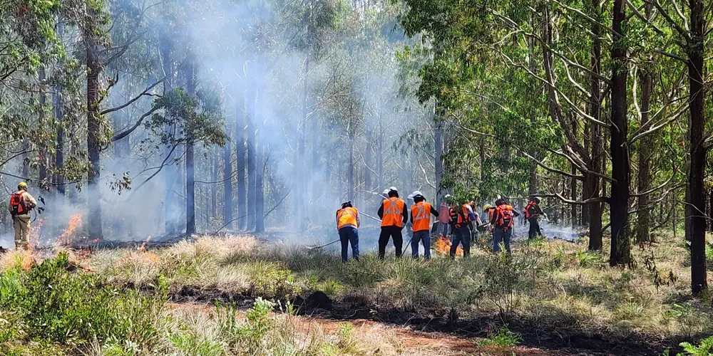 Representantes da Defesa Civil e de secretarias municipais estiveram em Ponta Grossa nesta semana participando de treinamento alusivo