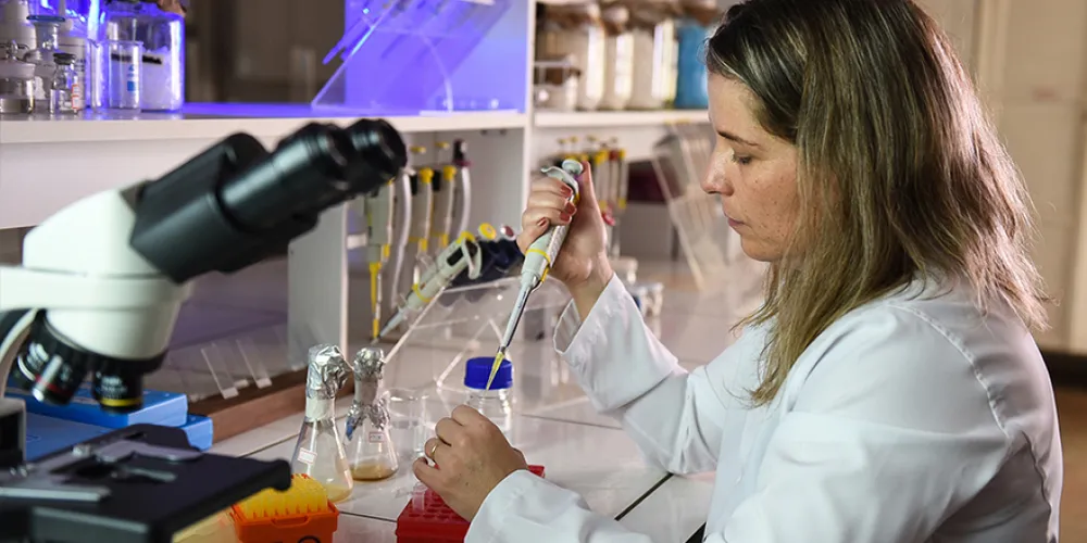 Os cursos foram aprovados pela Coordenação de Aperfeiçoamento de Pessoal de Nível Superior (Capes)