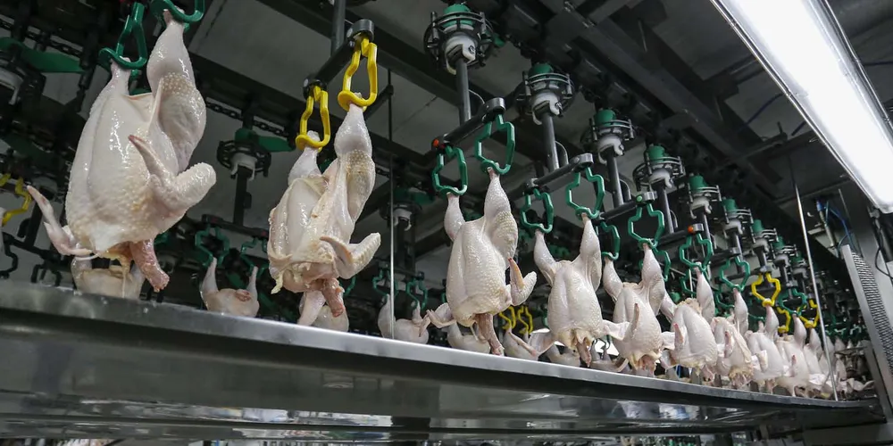 Na categoria de carnes e miudezas, Paraná representou 18,4% das vendas do país