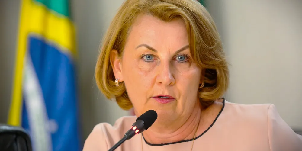 Márcia Huçulak (PSD) representa Ponta Grossa na Assembleia Legislativa do Paraná