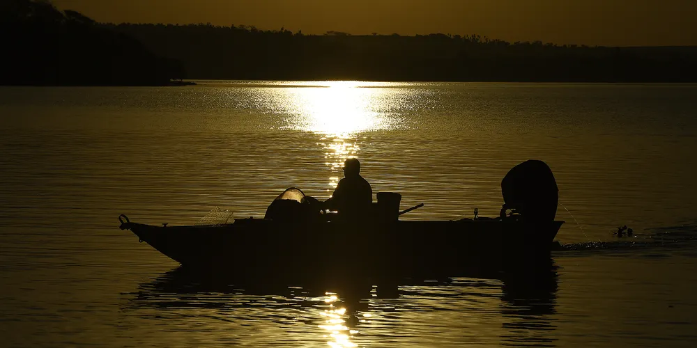 O texto proíbe o transporte de pescados sem a devida comprovação