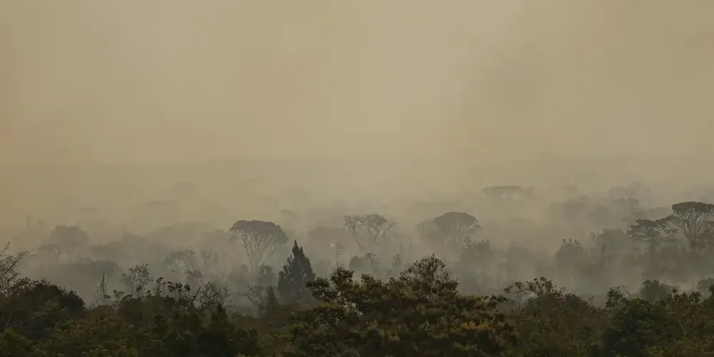 Registro de queimadas em setembro é 30% maior que média do mês