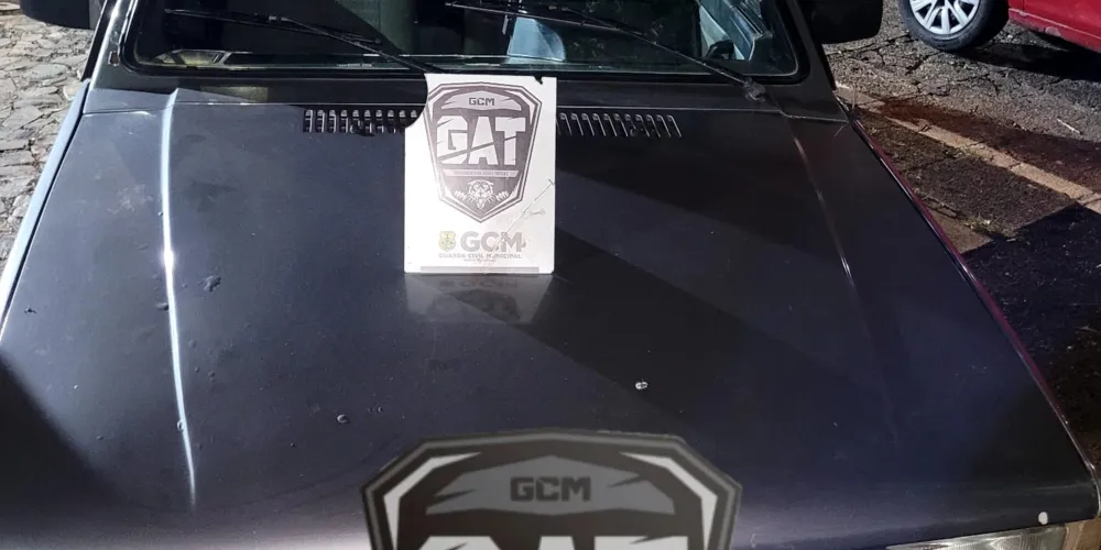 Guarda Municipal recupera veículo furtado em Ponta Grossa