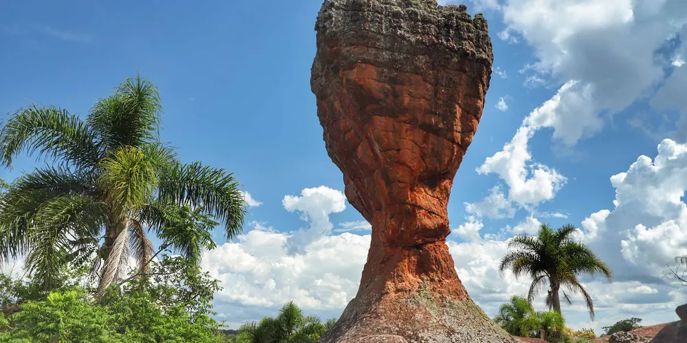 Primeiro Parque Estadual criado no Paraná, em 1953, foi tombado pelo Patrimônio Histórico e Artístico estadual e hoje é uma concessão do Governo do Estado.
