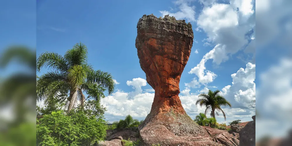 Primeiro Parque Estadual criado no Paraná, em 1953, foi tombado pelo Patrimônio Histórico e Artístico estadual e hoje é uma concessão do Governo do Estado.