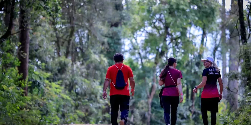 Dados foram divulgados pelo Cadastro Geral de Empregados e Desempregados (Caged)