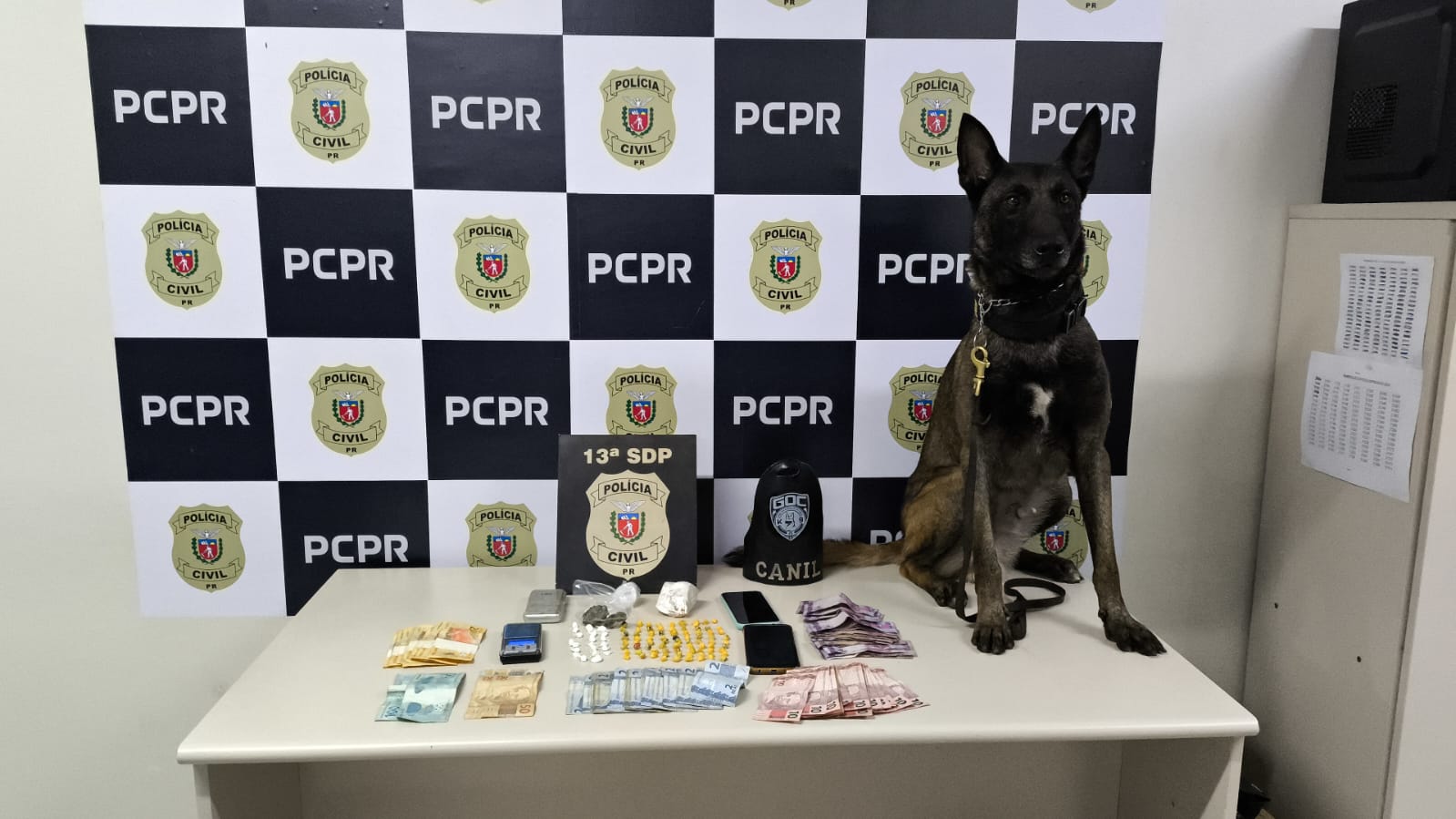 Foram apreendidas drogas do tipo crack, cocaína e maconha, localizadas pelo cão farejador Bolt do Grupo de Operações com Cães da GCM