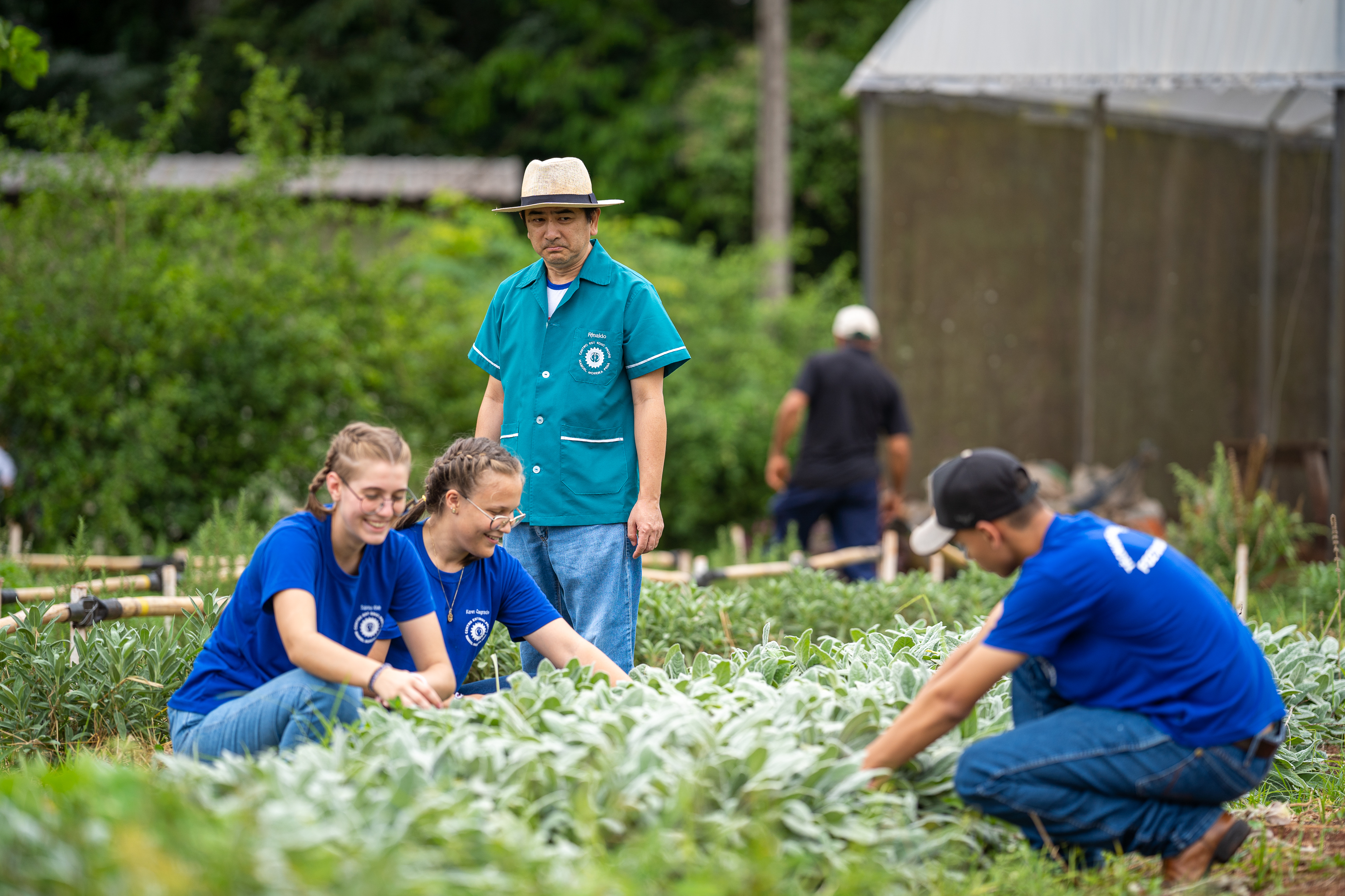 São mais de 60 cursos disponíveis nos CEEPs e colégios agrícolas