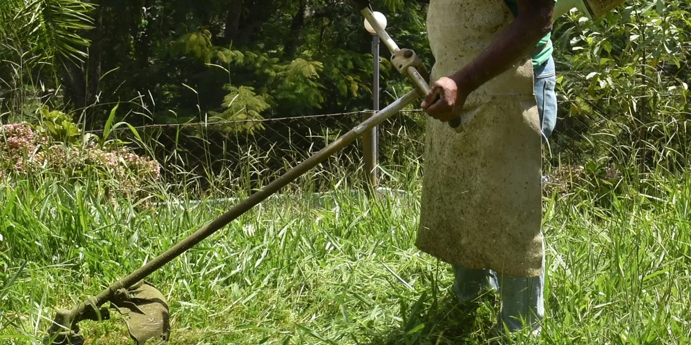 A Prefeitura informa que os esforços estão concentrados para restabelecer a manutenção regular das roçadas