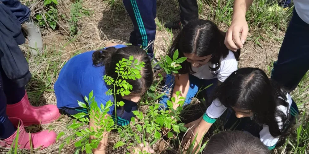 Educandos puderam ações interdisciplinares