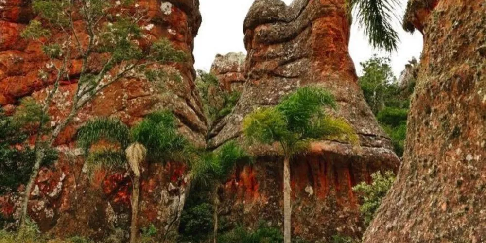 O evento tem o patrocínio do Laboratório Unimed e do Centro de Diagnóstico Unimed e é organizado pela Global Vita Sports
